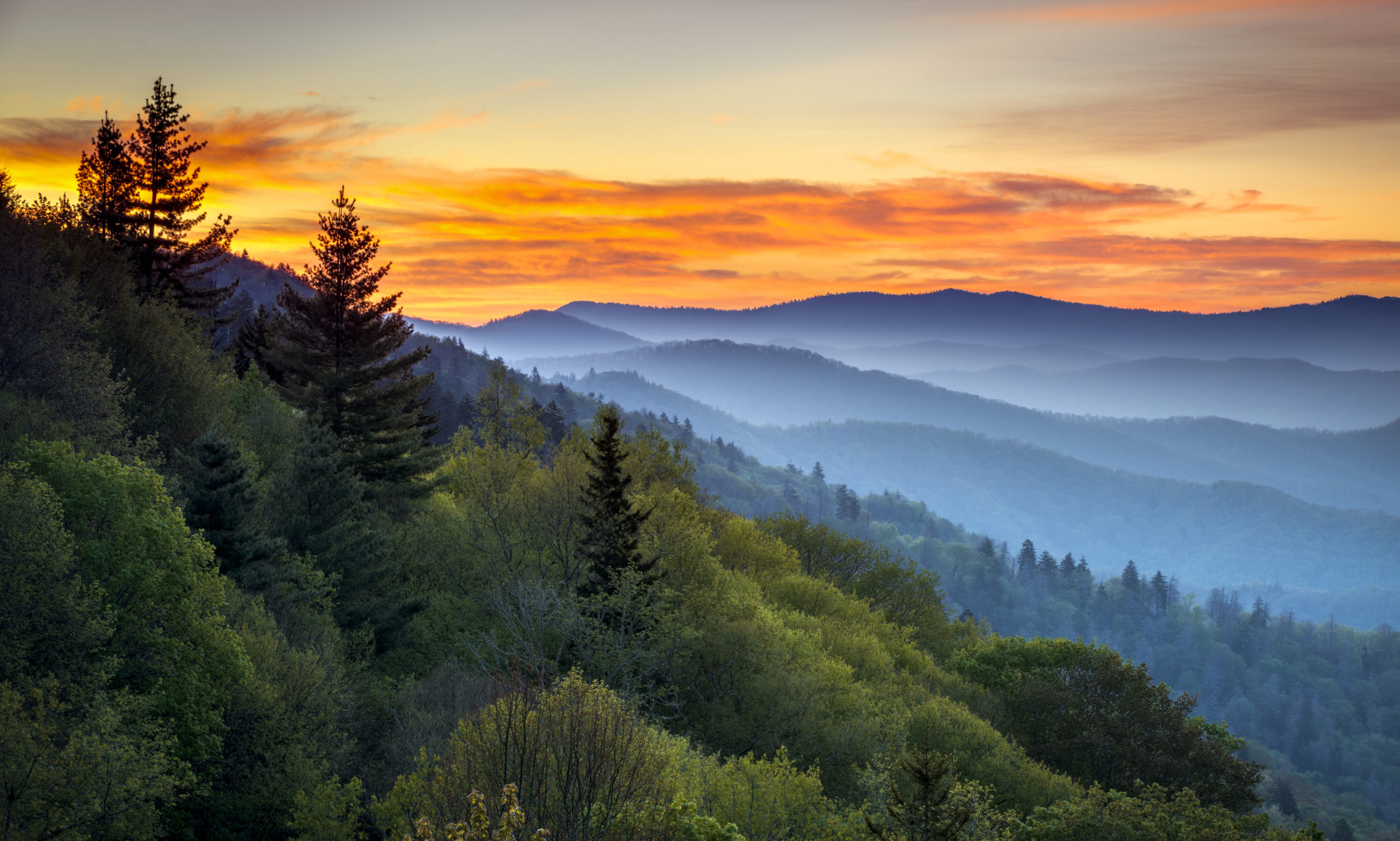 mountain scene